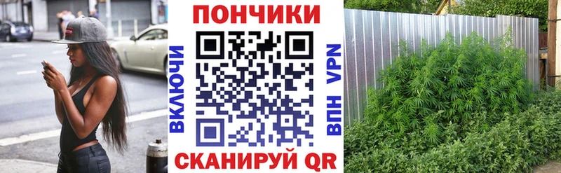 Магазины продажи наркотиков Суворов ГАШ  СК  Меф мяу мяу  Конопля 